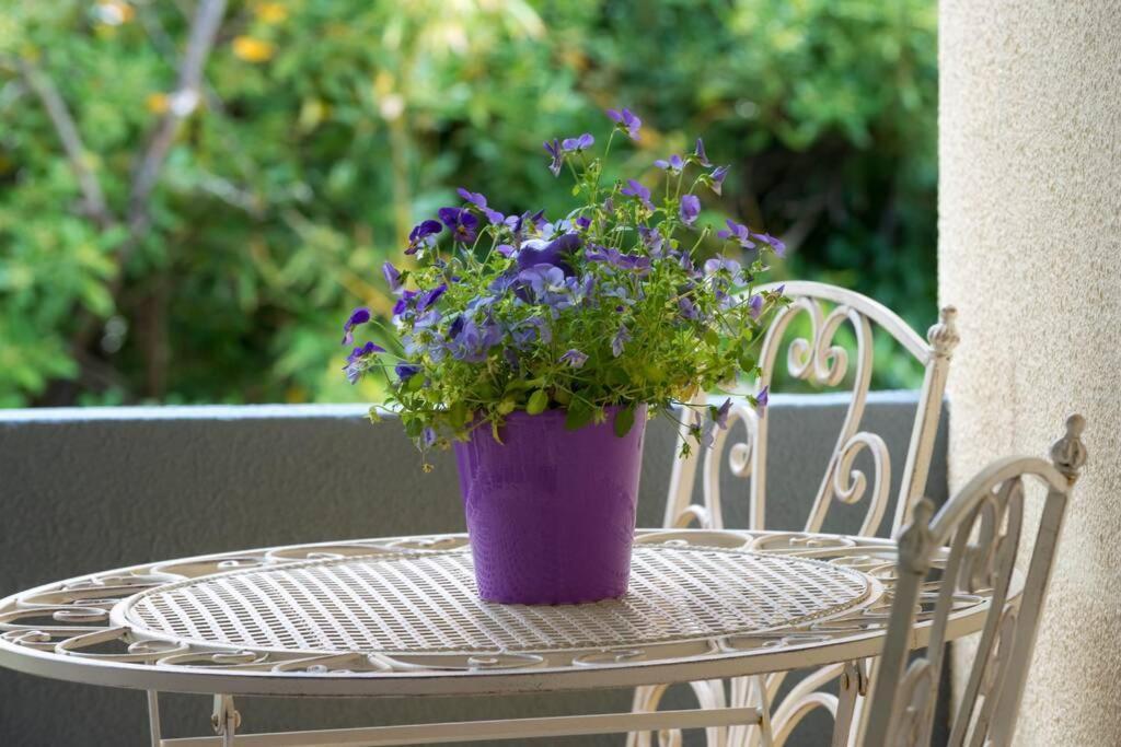 Apartman Leda Dubrovnik Bagian luar foto